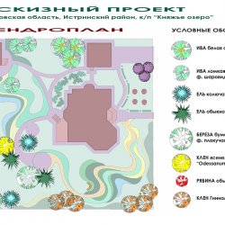 Ландшафтный проект дачного участка - ДЕНДРОПЛАН